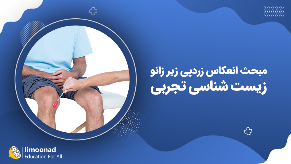 آموزش مبحث انعکاس زردپی زیر زانو زیست شناسی تجربی