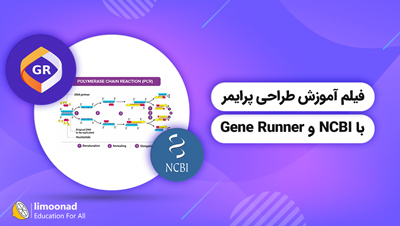 فیلم آموزش طراحی پرایمر با NCBI و Gene Runner