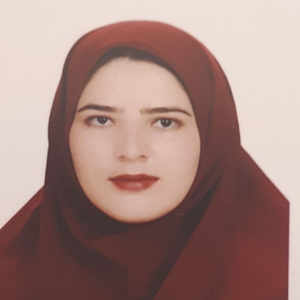 hamideh.vahedi
